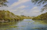Bosherston Lilyponds 